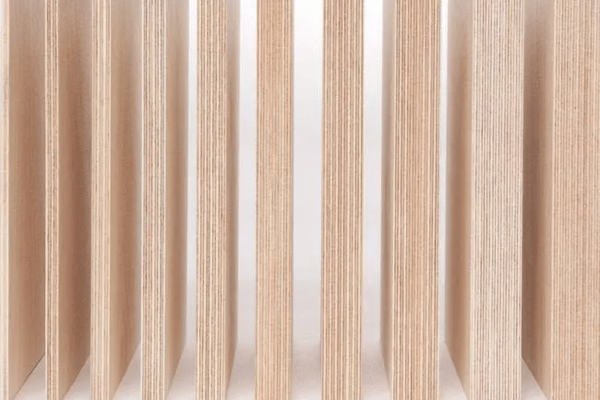 Birch Plywood-3